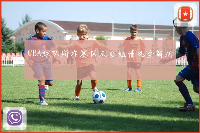 CBA球队所在赛区及分组情况全解析
